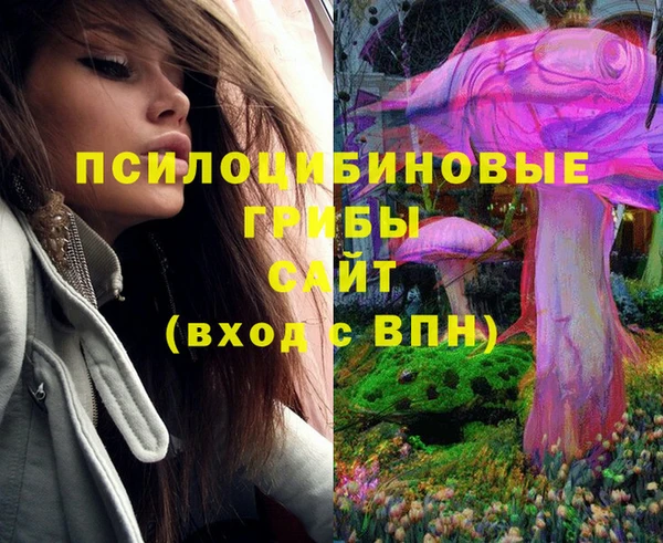 кокс Аркадак