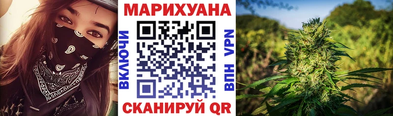 Шишки марихуана планчик  Купить где  Строитель 